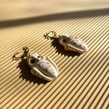 El baúl de curiosidades